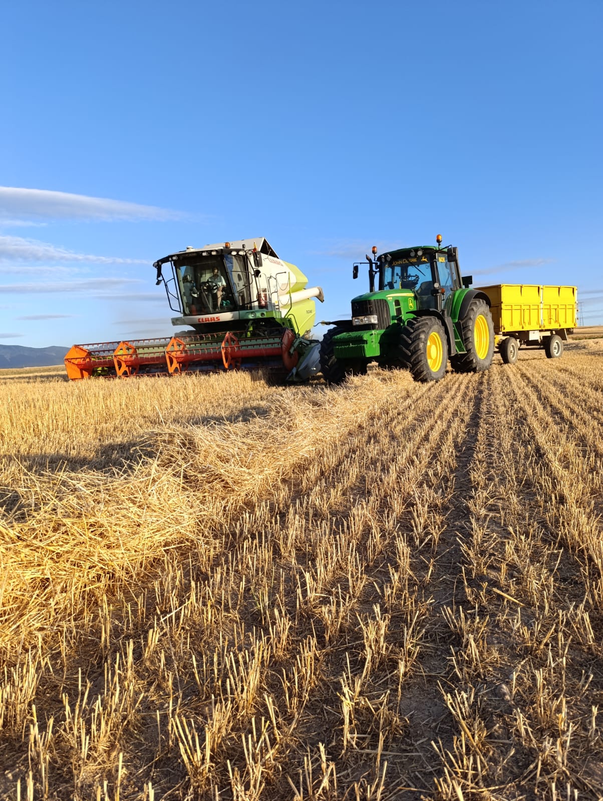 cosechando
